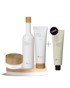O'right Moisture & Shine Set mit Bamboo Moisturizing Shampoo & Conditioner sowie Ginkgo Intensive Hair Cream – inkl. gratis Zahnpasta